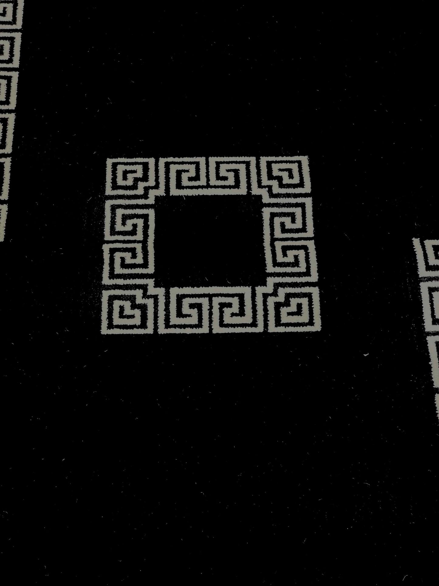 Versace polypropylene Rug,back woven(Article-129-Black)