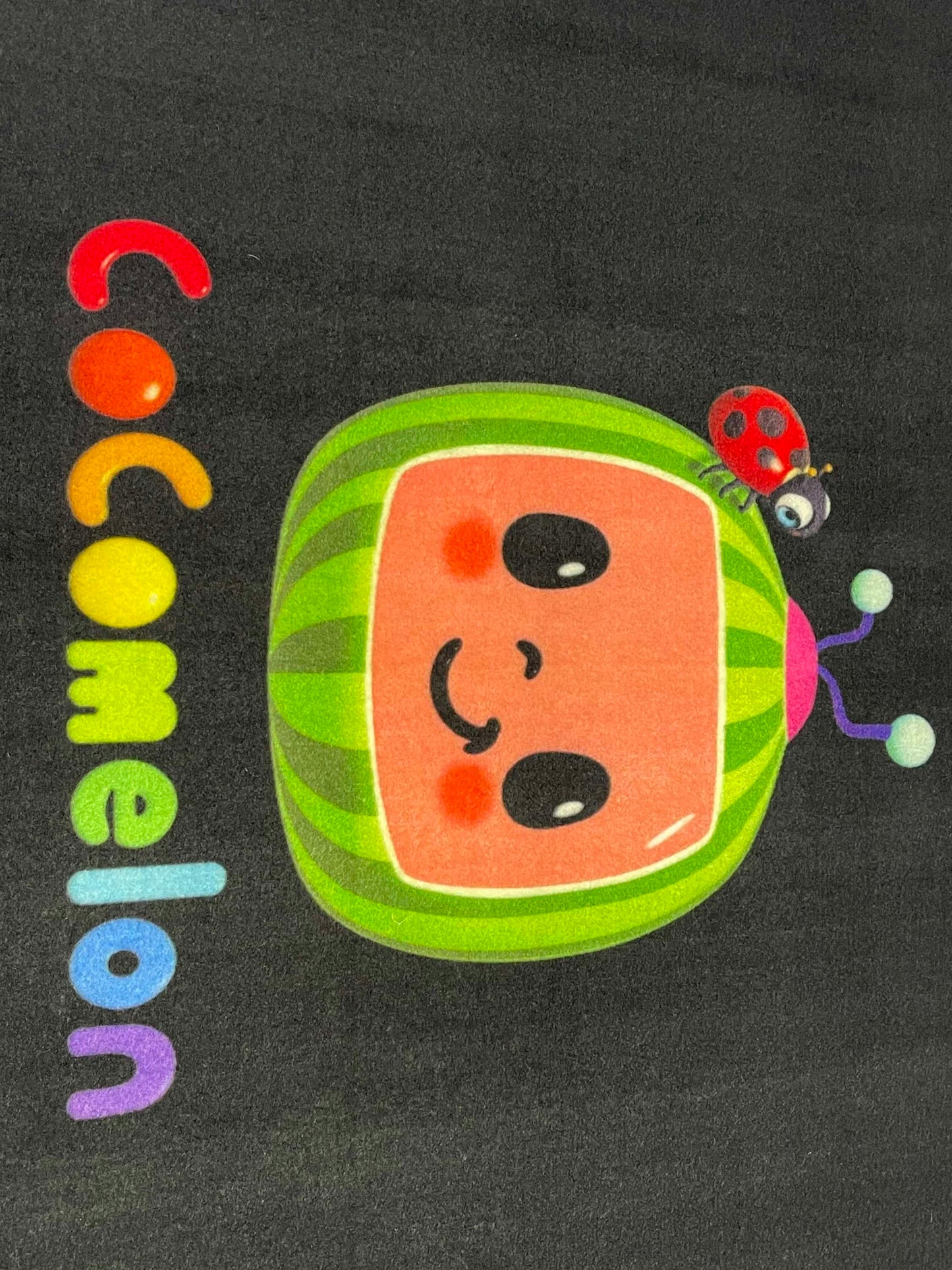 TPR Non Woven Rugs For Kids Room
Article-51-Black & Green