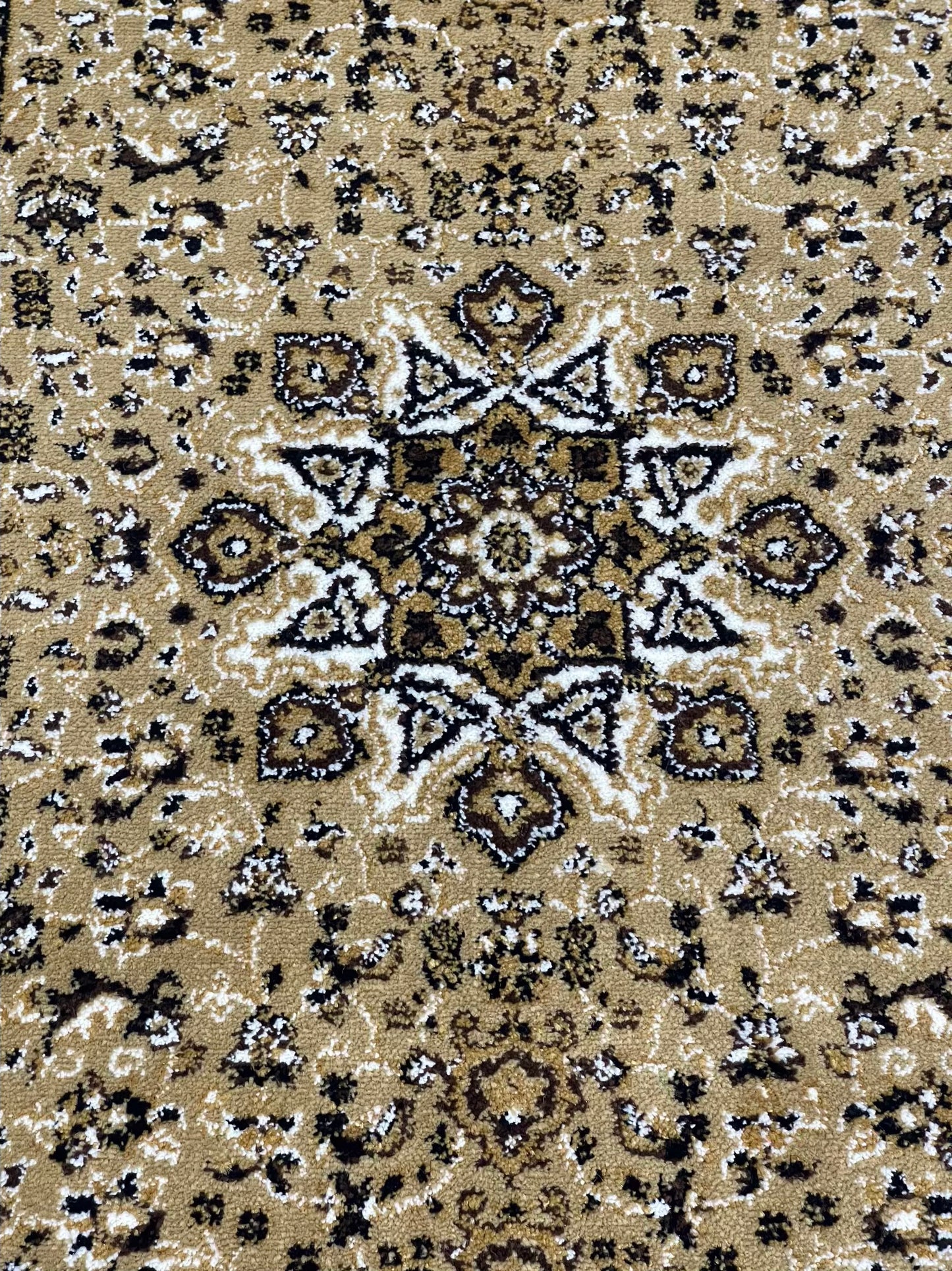 Beige Persian Polypropylene Woven Runner.
Size : 2.6 ft width x 6.6 ft length